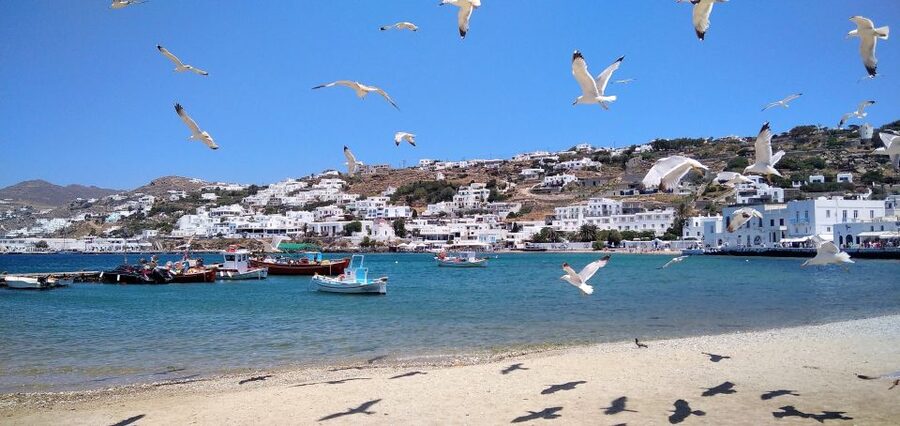 Mykonos: Highlights Tour with Panagia Tourliani Monastery - Ano Mera Village and Panagia Tourliani Monastery