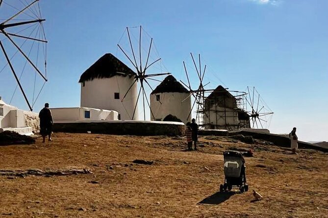Mykonos Private Island Tour In Half Day - Why this half-day Mykonos private island tour makes sense