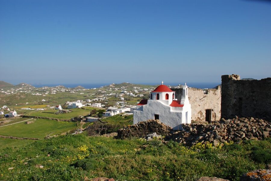 Mykonos Shore Excursion: City & Island Tour - Guide quality and organization: what makes or breaks this kind of tour