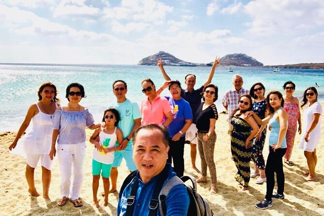 Mykonos Shore Excursion with Pickup from Cruise Ship Terminal - Price and value: what $83.44 buys you in real time