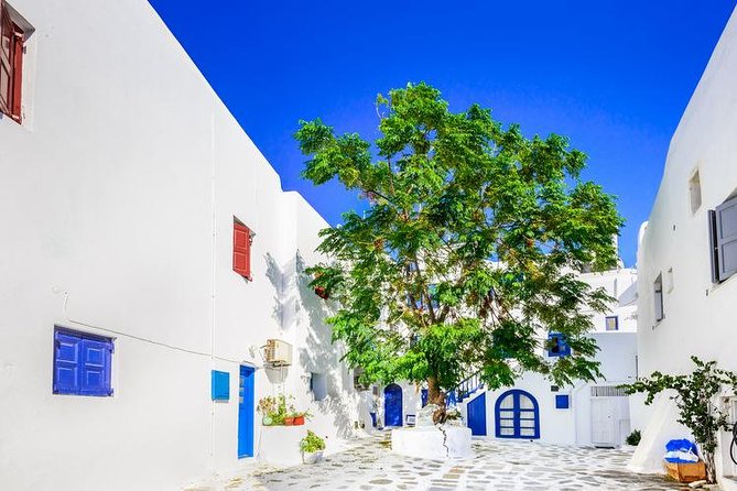 Mykonos Town and Island Half-Day Tour - The bus ride, viewpoints, and how to get the most out of the drive
