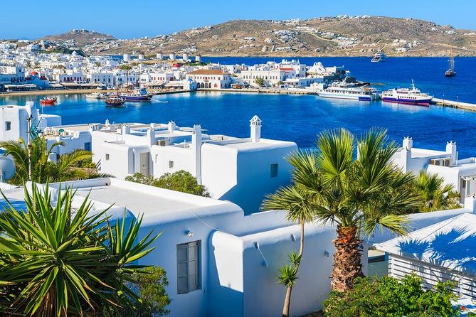 Mykonos Town and Island Half-Day Tour - What the guide adds, and which guide style seems to win points
