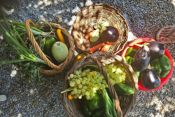 Naxos:Half-day cooking class at Basiliko - First Stop: Basiliko Tavern (Livado) and How You Actually Get to the Farm