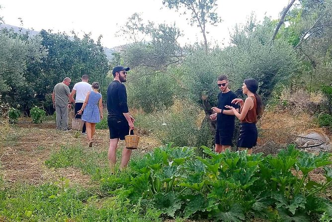 Naxos:Half-day cooking class at Basiliko - The Family Farm Tour: Gardens, Animals, and Real Ingredient Stories