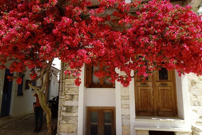 Naxos: Highlights of Naxos Day Tour - Stop 2: Damalas olive press and pottery workshop with sfouni details