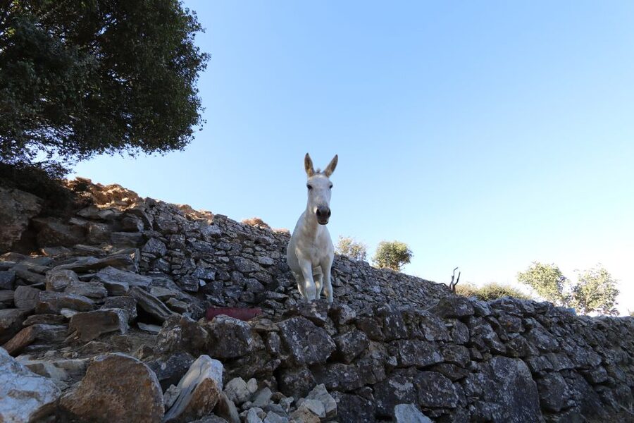 Naxos: Hike to the Top of Mount Zas with a Guide - What to bring so wind and rocks don’t ruin your day