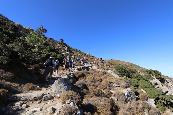 Naxos: Hike to the Top of the Cyclades - Mount Zas - The traditional picnic: the finish that makes it feel like a full experience