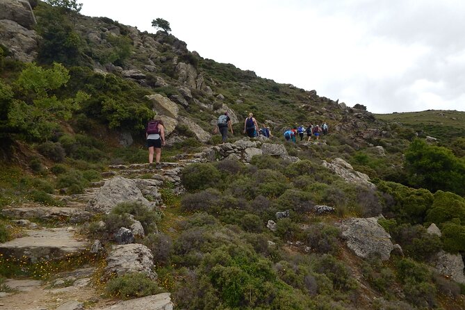 Naxos: Hike to the Top of the Cyclades - Mount Zas - Start at Agia Marina, then settle into the mountain rhythm