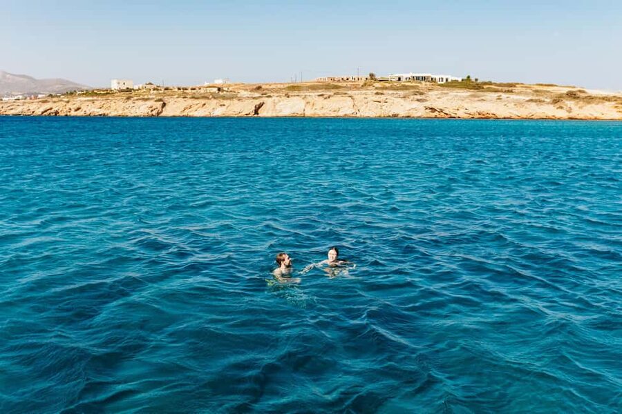 Naxos/ Paros: Sailing Cruise with Food and Drinks - Lunch With Greek Favorites and Local Wine: Vegetarian and Allergy Options