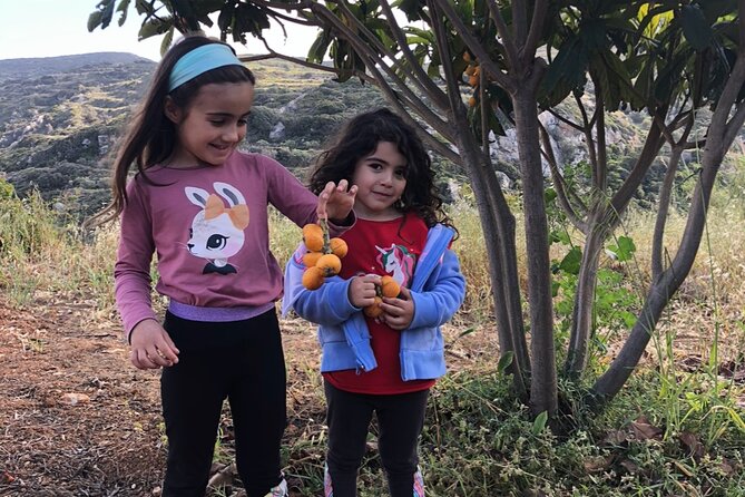Naxos Perivoli Farm Experience & Wood-fire Cooking Class - A Family Farm Near Melanes: what the experience feels like from minute one