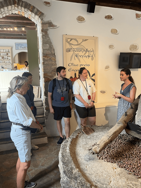 Naxos: Private E-Bike Tour with Farm Lunch - Who This Naxos E-Bike Tour Is Perfect For