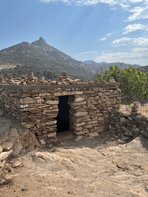 Naxos: Private E-Bike Tour with Farm Lunch - Olive Press at the Stone Mill, Oil Tasting, and What to Pay Attention To