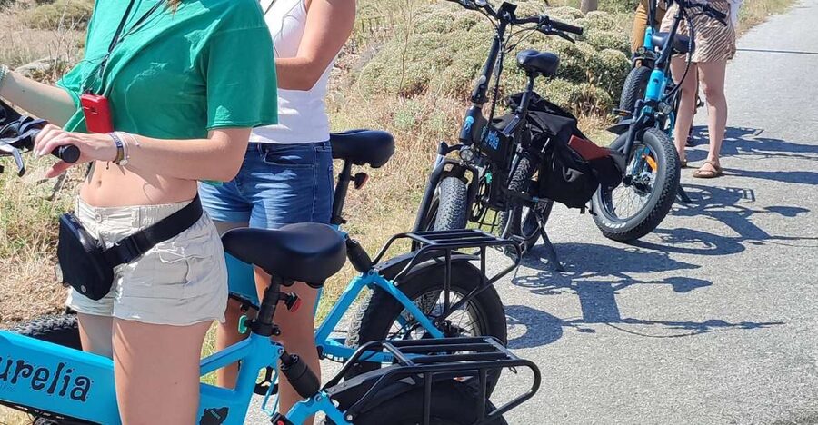 Naxos: Private E-Bike Tour with Farm Lunch - Farm Lunch With PDO Cheese, Pie, Salad, and Homemade Wine