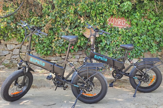 Naxos Private / Semi Private E-Bike Guided Tour Aegean Lush - Stop 3: Eggares farm tour, cheese making when in season