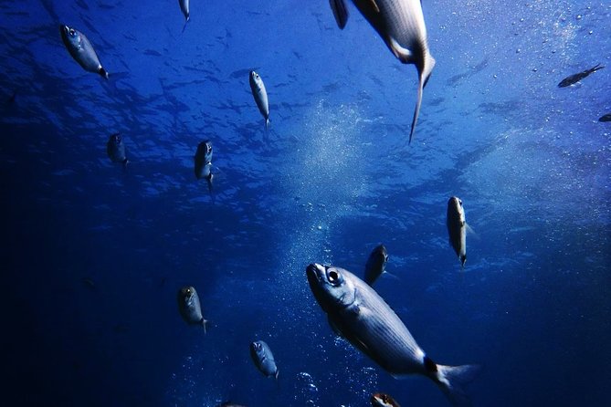 Nima Diving Center, Naxos, Greece - Ag. Anna shore setup, and what “6 meters” really means