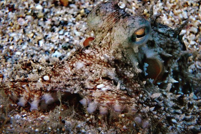 Nima Diving Center, Naxos, Greece - How the 2-hour session unfolds step-by-step