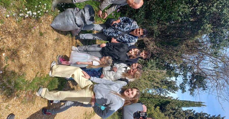 North Corfu: Olive Tour with Olive Oil Tasting and Mezze - Price and value: what $64 buys you on Corfu