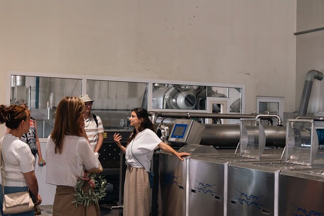 Olive oil Mill Visit & Olive oil tasting Experience - First Stop, Castle of Androusa: Olive Trees With Real Context