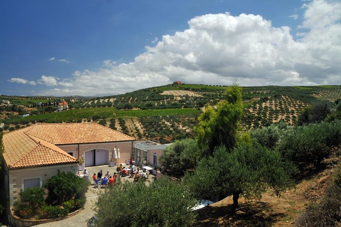 Olive Oil Tasting Tour - Private tour energy: why it feels more personal than a standard stop