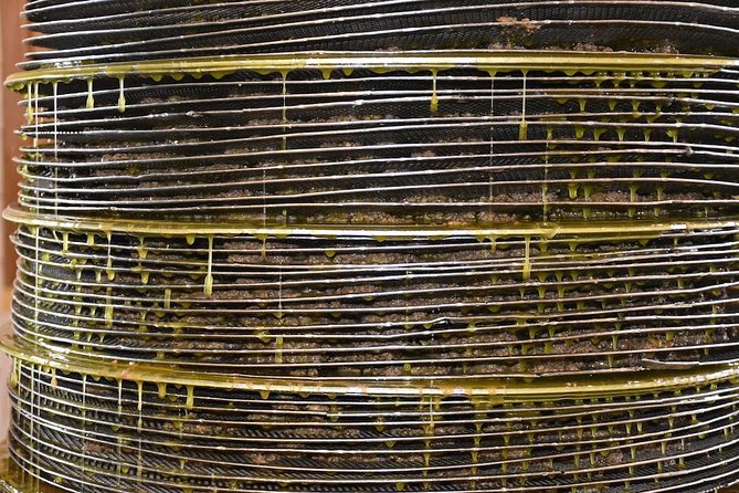 Olive Oil Tasting Tour - The tasting lesson: how to taste EVOO and compare flavors