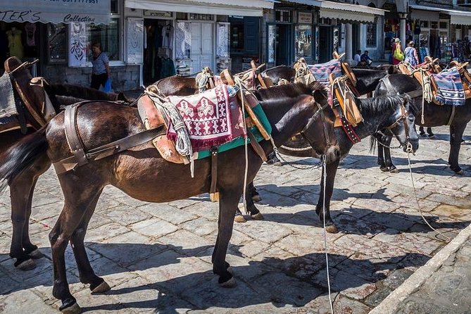 One Day Cruise to Hydra, Poros and Aegina from Athens - One day, three islands: what you actually get for 12 hours