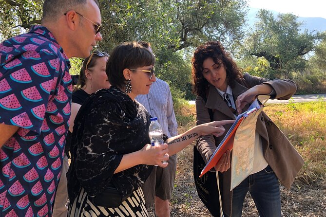 Organic Olive Grove tour & Olive oil tasting & lunch in Kalamata! - Key highlights at a glance