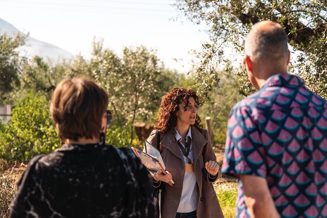 Organic Olive Grove tour & Olive oil tasting & lunch in Kalamata! - How this tour tells the olive oil story (not just sells tastings)