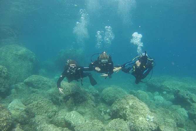 Padi Discover Scuba Diving - From Kassandra pickup to your first calm water session