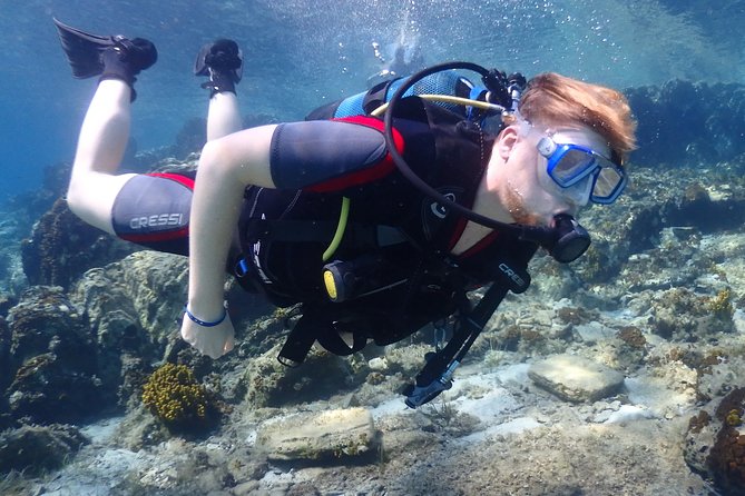 Padi Discover Scuba Diving - The sea life and rock formations you’ll likely spot