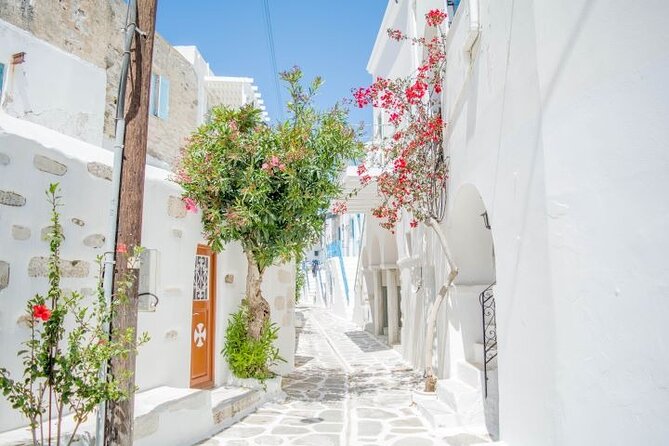 Paros & Antiparos Full-Day Discovery Guided Tour in English - Lefkes: the inland reset you will be glad you squeezed in