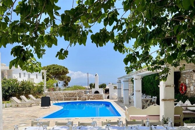 Paros: Cooking Class with Greek Meal & Wine - Price and value: is $140.29 worth it?
