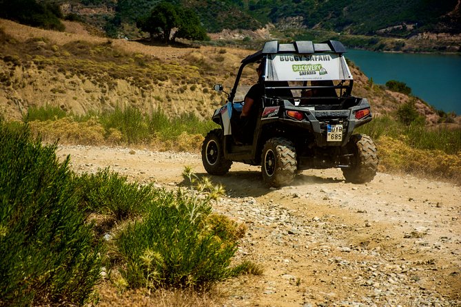 Polaris Buggy 4-Hour Safari from Rethymno Town - Who should book this safari, and who might not love it