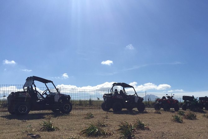 Polaris Buggy 4-Hour Safari from Rethymno Town - Should you book the 4-hour Polaris Buggy Safari from Rethymno Town?
