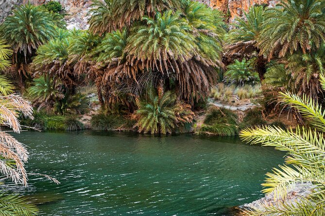 Preveli Beach and Plakias Full-Day Trip From Rethymno - Through Kourtaliotis Gorge to the Preveli River Springs