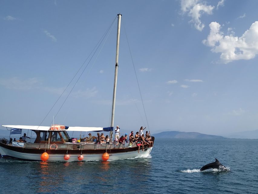 Preveza: Dolphin Watching Cruise with Lunch and Drinks - Why Amvrakikos Gulf makes this dolphin trip feel real