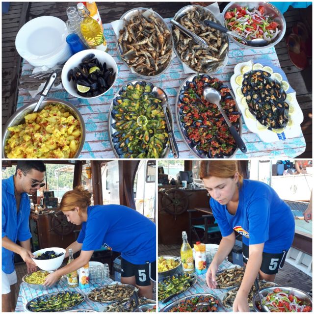 Preveza: Dolphin Watching Cruise with Lunch and Drinks - The dolphin and marine life search: more than just spotting