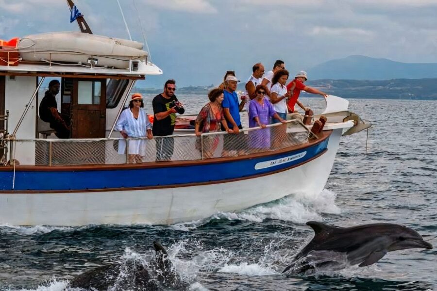Preveza: Dolphin Watching Cruise with Lunch and Drinks - The swimming stop and beach break: where the day turns fun