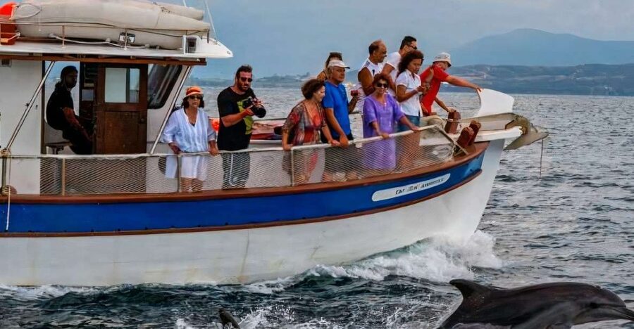 Preveza: Dolphin Watching Cruise with Lunch and Drinks - Greek hospitality on a traditional boat