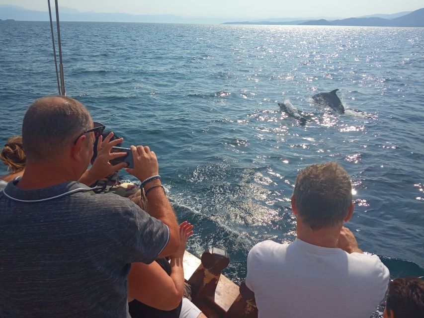 Preveza: Dolphin Watching Cruise with Lunch and Drinks - Practical tips so your day goes smoothly