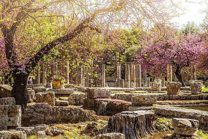 Private Excursion to Ancient Olympia - bee farm & winery - Katakolo port to Olympia, with your driver running the clock