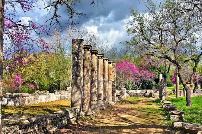 Private Excursion to Ancient Olympia - bee farm & winery - Klio’s Honey Farm: spoon sweets, diples, and real bee knowledge