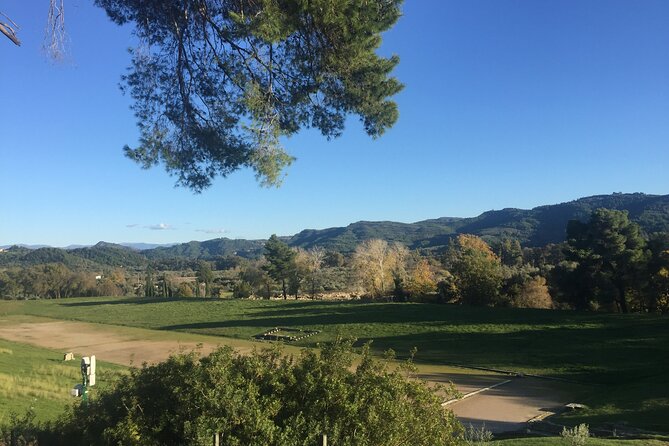 Private Excursion to Ancient Olympia - bee farm & winery - Where drivers make the difference: names you may want to request