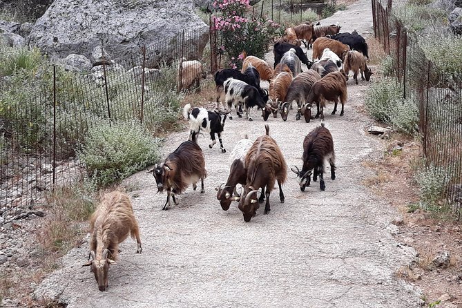 Private - Jeep Safari Tour with Lunch and Tastings - The day starts at 8:30 and keeps moving like a good road trip