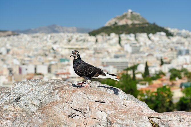 Private Luxury Biblical Tour: Apostle Paul in Athens & Corinth - Pickup, Car Comfort, and the Real Value of “Private”