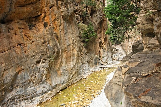 Private Roundtrip Transfer from Chania to Samaria Gorge Park - Pickup in Chania (06:00 to 08:00) and the drive to the gorge
