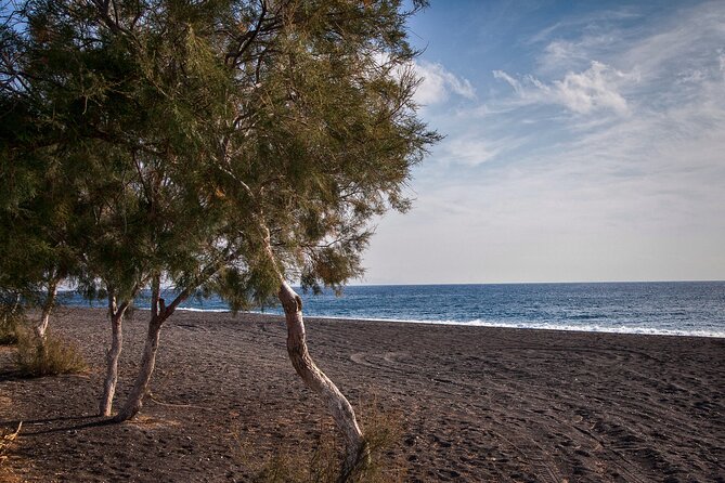 Private Tour: Discover South of Santorini - Lunch and Wine Stops: Plan to Pay, Then Let Kostas Choose