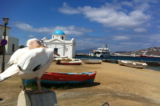 Private Tour: Mykonos Island in Half a Day - Beach Stops Near Town and Kalo Livadi: Color, Contrast, and a Break From Streets