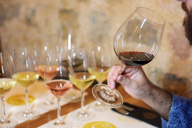 Private Wine Tasting Under the Guidance of a Sommelier in Rhodes - Who This Private Wine Tasting Is Best For