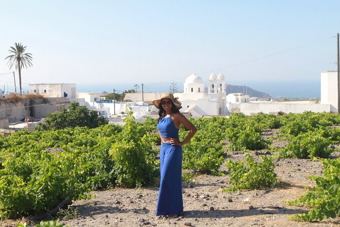 Private Wine Tour in 3 Wineries with 12 Wine Tastings and Tapas - The 4-Hour Rhythm: How the Day Usually Feels