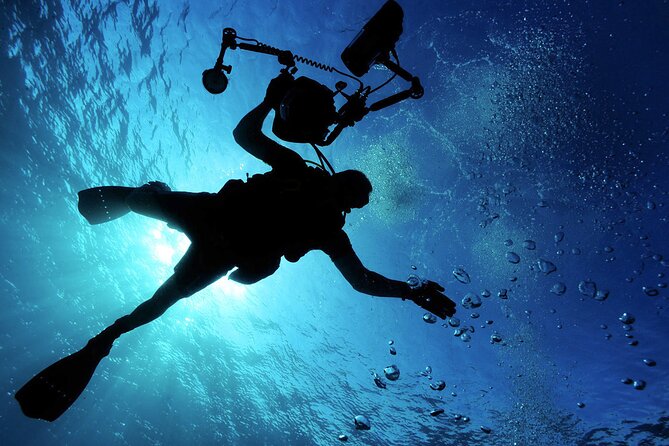 Qualified Diver 1 Tank Dive in Mykonos - Where your one-tank Mykonos scuba session starts at Paradise Beach